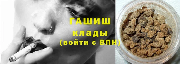 прущие грибы Верея